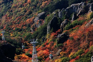 寒霞渓