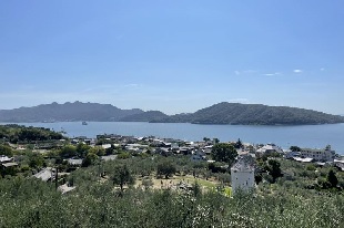 オリーブ園