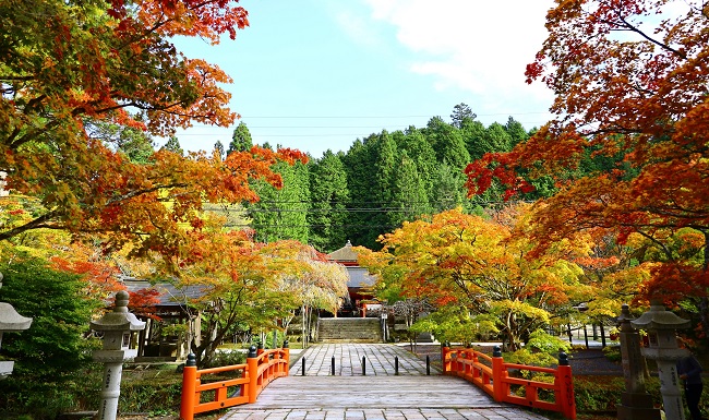 高野山