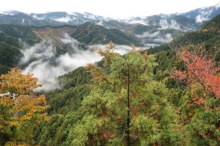 高野山
