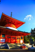 壇上伽藍
