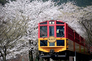 トロッコ列車