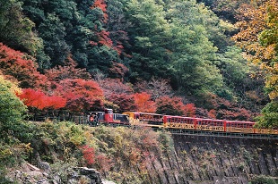 トロッコ列車