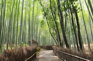 嵐山