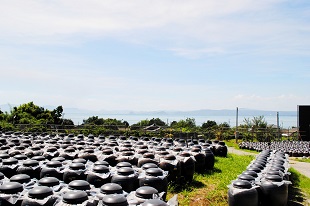 坂元の黒酢「壺畑」