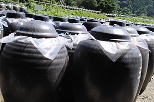 坂元の黒酢「壺畑」