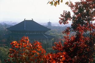 東大寺 紅葉