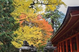 春日大社