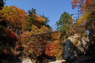 祖谷のかずら橋
